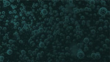 Liquidity Stress testing – Modelling the unknown