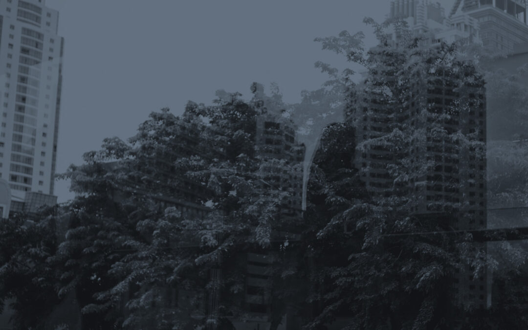 The State of ESG Regulatory Reporting – and What it Means for Market Participants and Investors