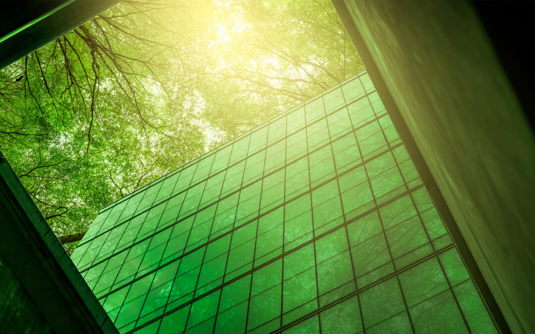 The Blueprint for Ethical Investment: Leveraging SDGs in ESG Investing