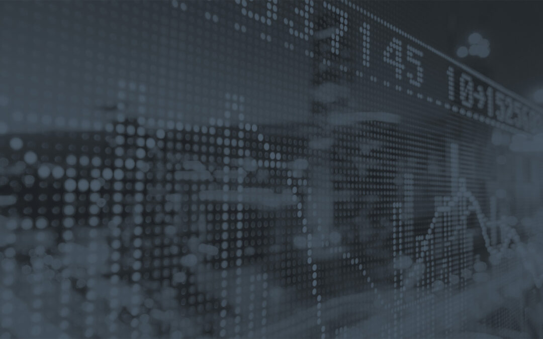WEBINAR: Fireside Chat with Natasha Vij Greiner and Peter B Driscoll