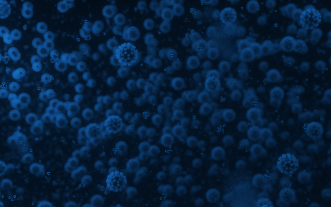 COVID-19: How to stress test for the unknown